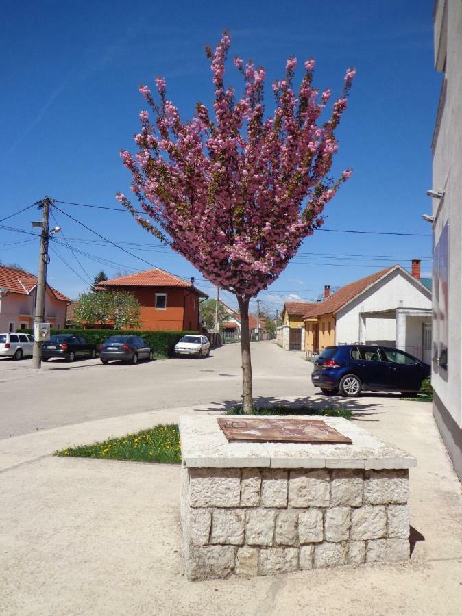 Apartman Bedem Nikšić Bagian luar foto